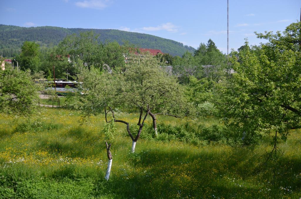 Rosinka Daire Yaremche Dış mekan fotoğraf